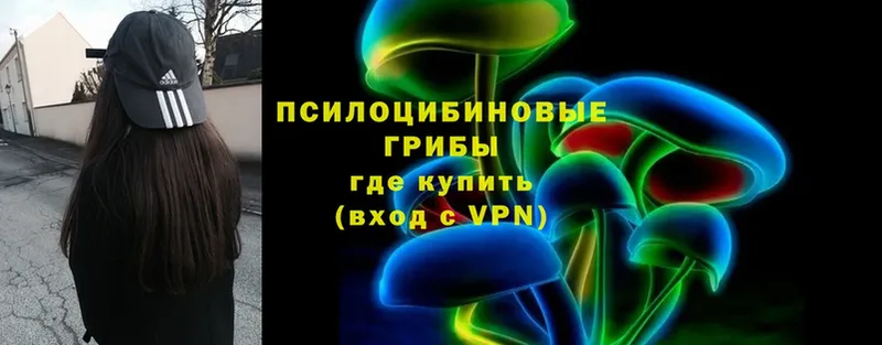 Галлюциногенные грибы Psilocybe  купить закладку  Старая Русса 